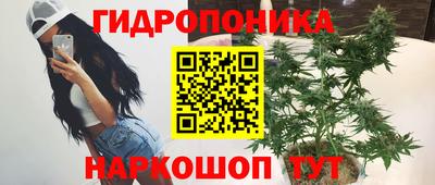 мяу мяу мука Кулебаки