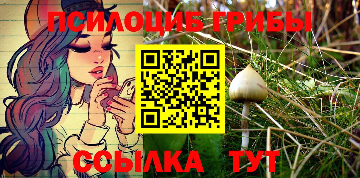Псилоцибиновые грибы Cubensis  Вход с VPN  наркошоп  Черногорск 